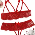 Özel Bölgesi Açık Kırmızı Fantezi Sütyen Külot Takımı