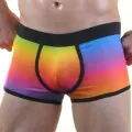 Renkli Erkek  Boxer