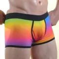 Renkli Erkek  Boxer