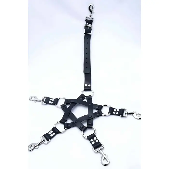 Erkek  Fantazi Deri Harness Takım - Brfm86