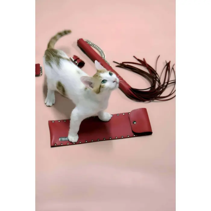 Kırbaç - Kelepçe Set, Kırbaç Takım, Fantezi Kelepçe Takım - Brf1304