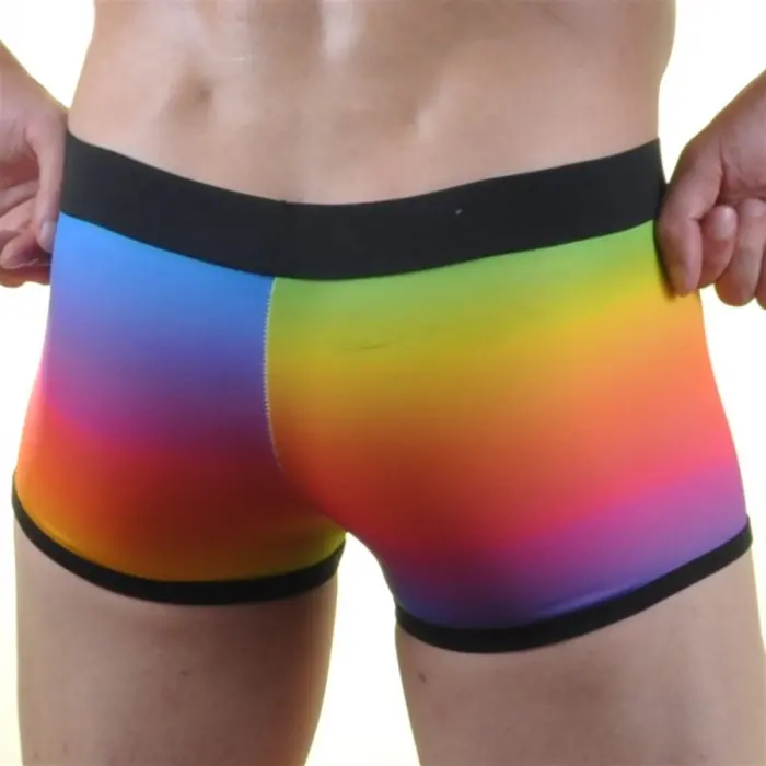 Renkli Erkek  Boxer