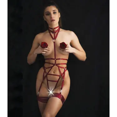 LYYN Boyunluklu Fantezi Kırmızı Harness Takım