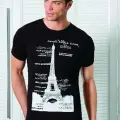 Berrak Kule Baskılı Erkek  T-shirt 1043