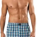 Erdem Erkek  Poplin Boxer 1440