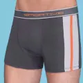 Erkek  Modal Boxer 1080