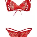 LYYN Kırmızı Dantelli Fantazi Sütyen Ve G-string Takım Tm2048