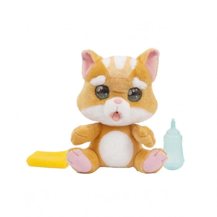 AMOTİON PETS EVCİL HAYVANLAR