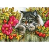 KS 20504 PUZZLE 1000 ROSE HEDGE