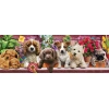 KS 21009 PUZZLE 1000 PANORAMİK PUPPİES