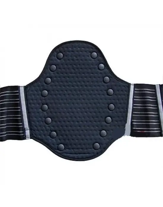 ZANDONA 1006 BELLİK