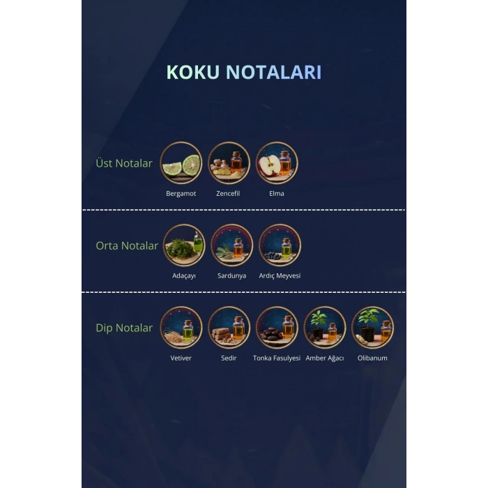 Alpine 50ml Erkek Parfüm