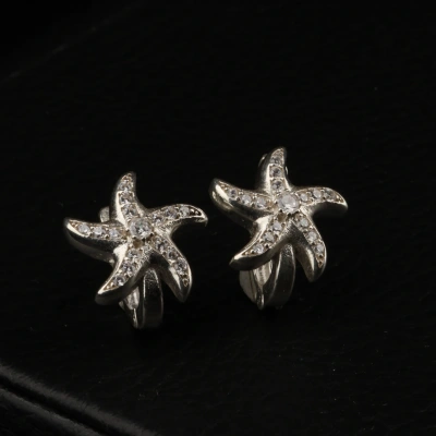 925 Ayar Deniz Yıldızı Kadın Gümüş Küpe