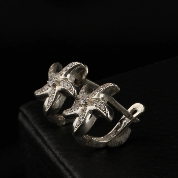 925 Ayar Deniz Yıldızı Kadın Gümüş Küpe