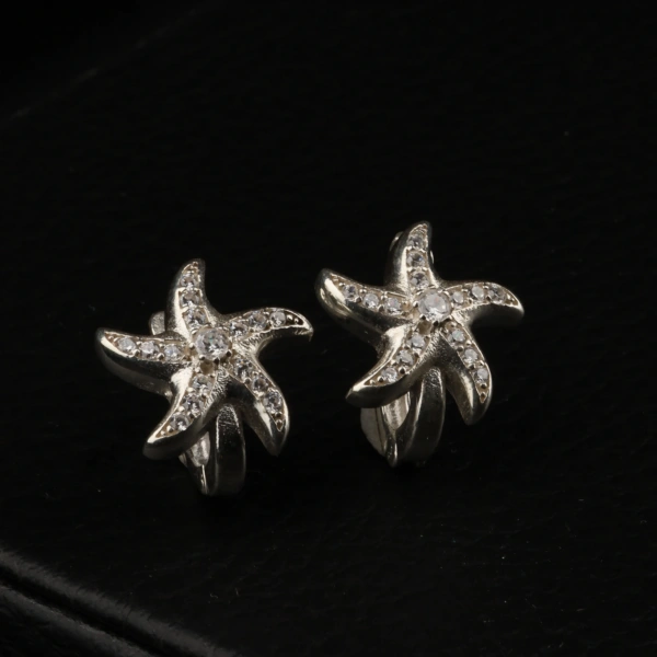 925 Ayar Deniz Yıldızı Kadın Gümüş Küpe