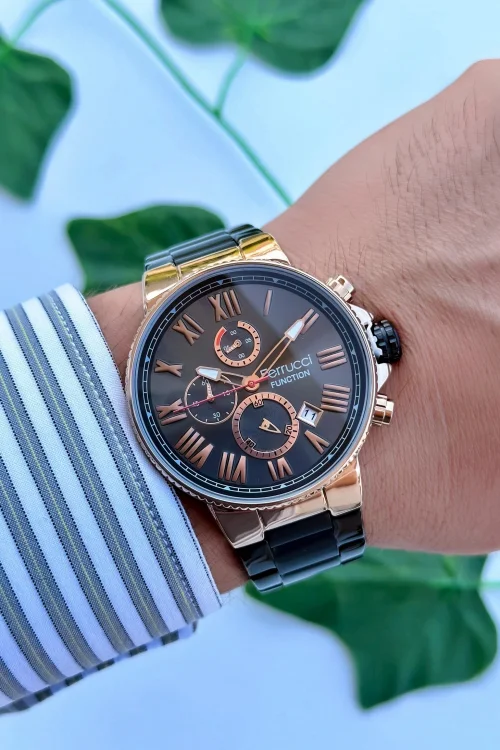 Ferrucci Function Erkek Kol Saati Çelik Kordon Çelik Kasa 3 ATM Suya Dayanıklılık