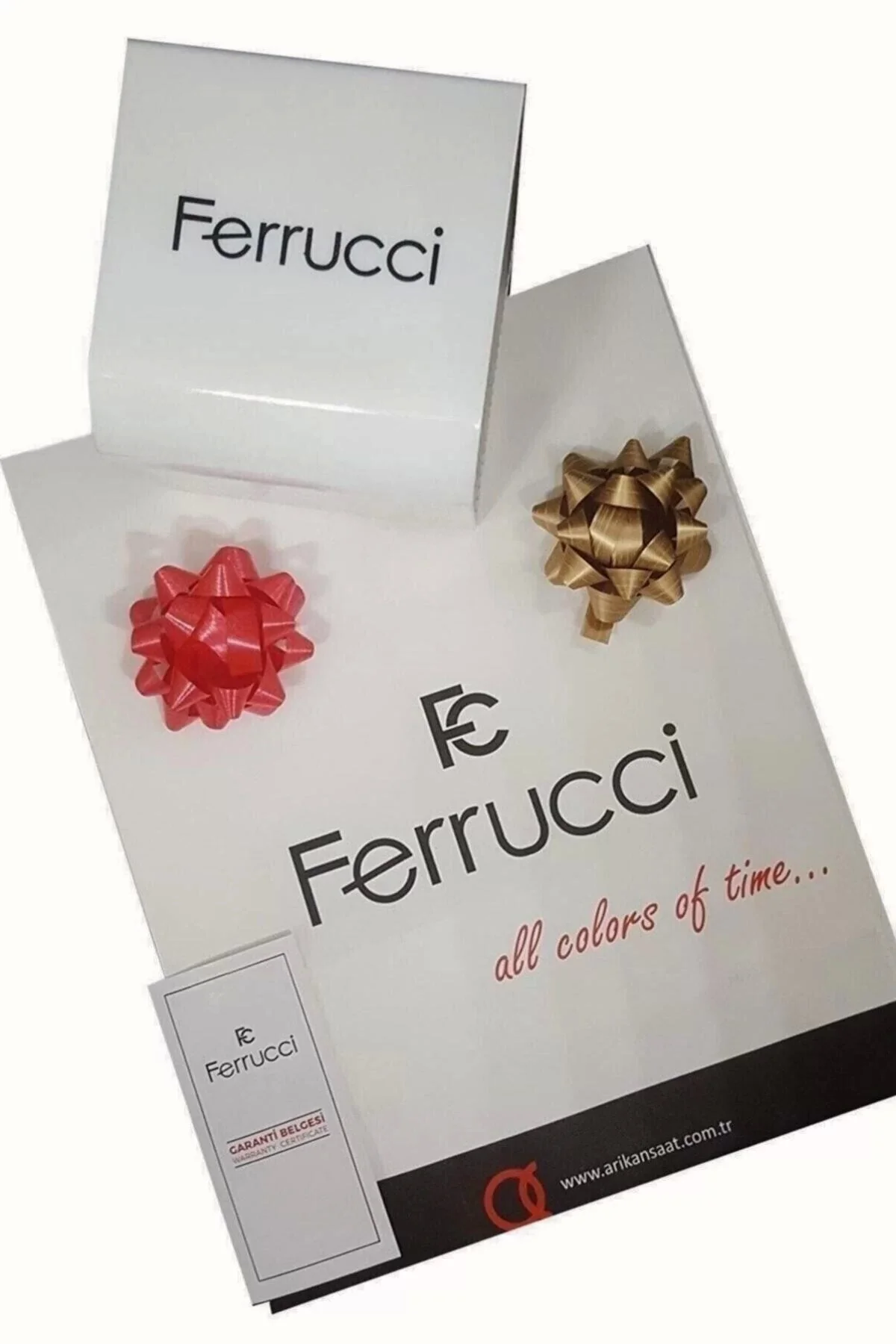 Ferrucci Function Erkek Kol Saati - Füme Çelik Kordon zmfer002