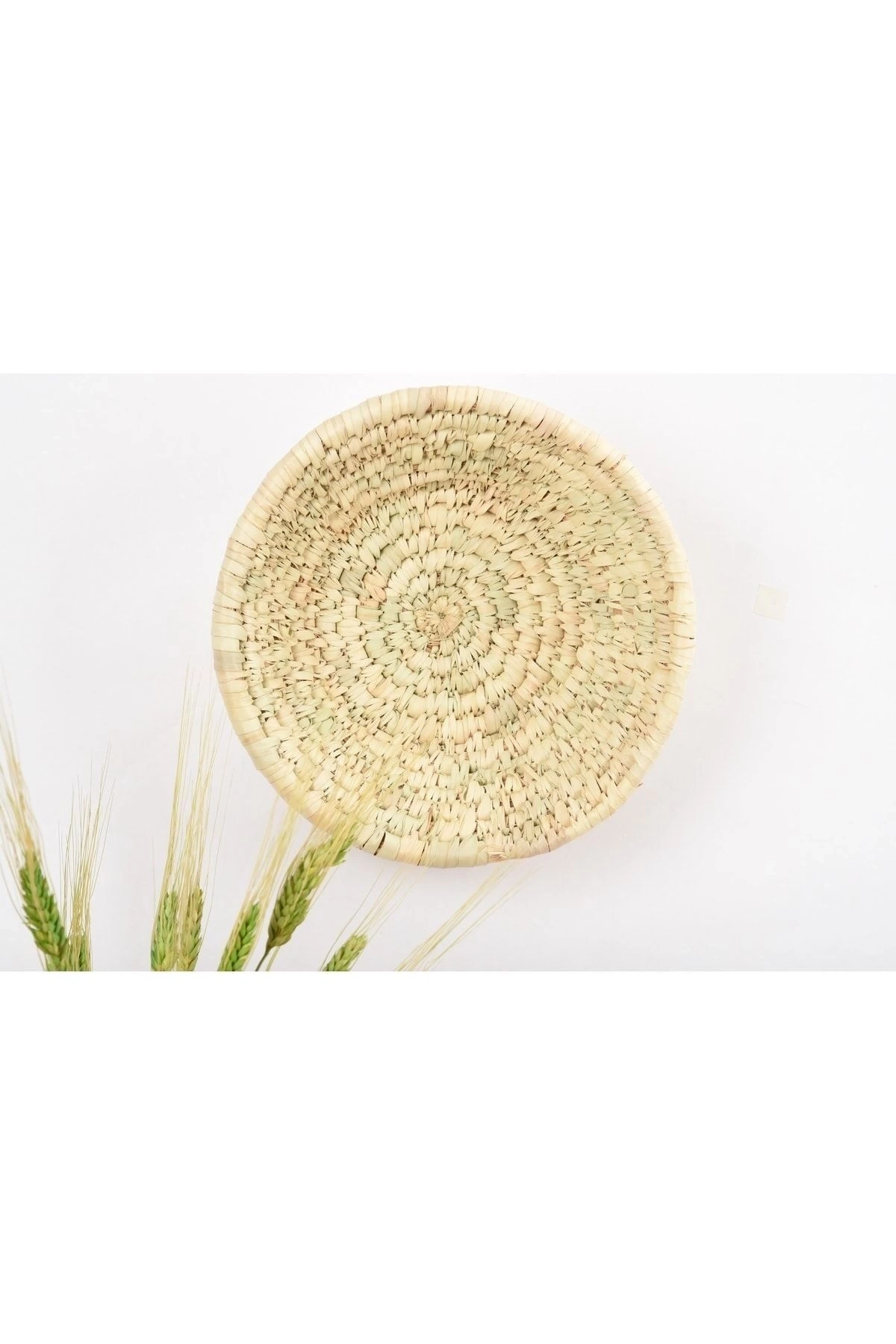 Dichondra Hasır Duvar Tabağı 25 Cm