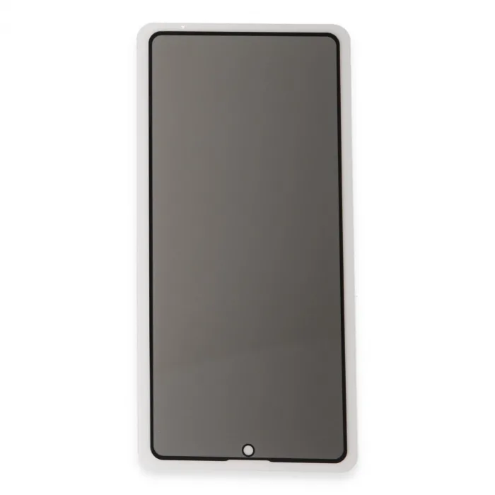 Newface Samsung Galaxy S24 3d Antistatik Hayalet Cam Ekran Koruyucu