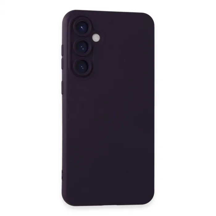 Newface Samsung Galaxy S24 Kılıf Nano İçi Kadife Silikon - Mor