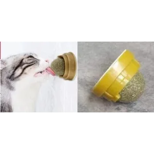 Kedi Nanesi Topu