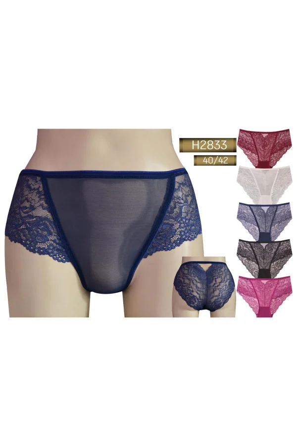 NİVEMESHOME 2833 YÜKSEK BEL TOPARLAYICI KÜLOT HELENA PARİS