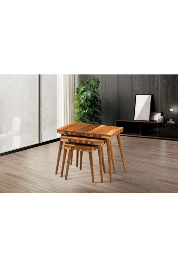 NİVEMESHOME SAFARİ CEVİZ ZİGON SEHPA