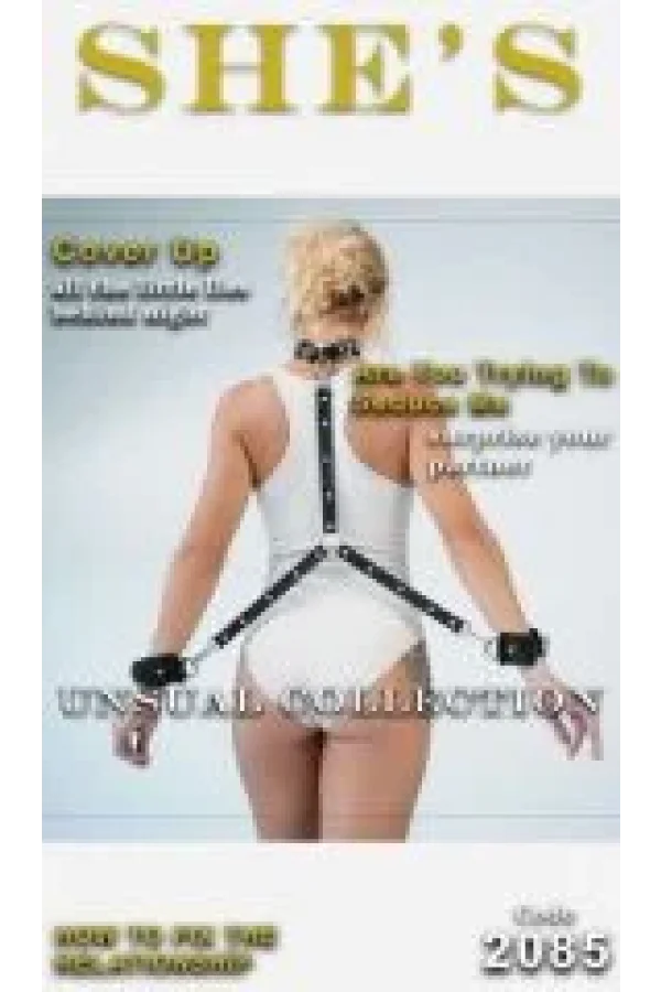 SHES 2085 HARNESS AKSESUAR SIYAH STANDART