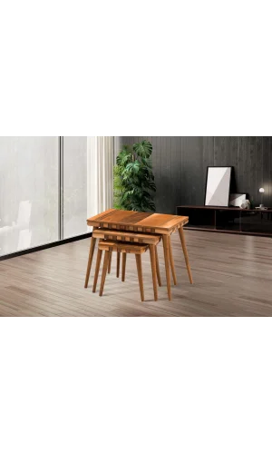 NİVEMESHOME SAFARİ CEVİZ ZİGON SEHPA