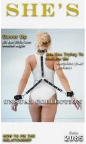 SHES 2085 HARNESS AKSESUAR SIYAH STANDART