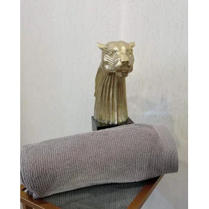 ASTOR KURŞUN 90*150 KAPAMA BEZ BORDURLU HAVLU