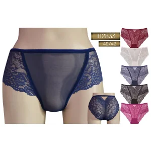 NİVEMESHOME 2833 HIGH WAIST SHAPING PANTY HELENA PARIS