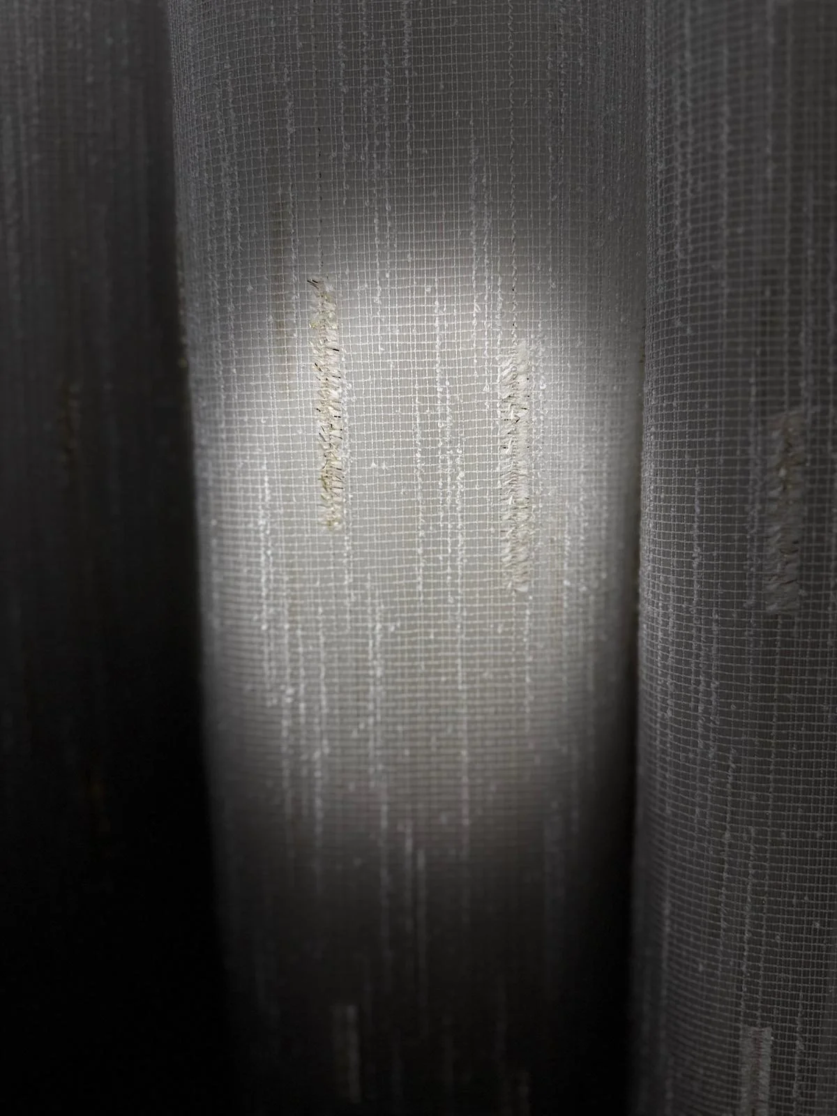 NİVEMESHOME GOLD BEARDED TULLE 1/3 DENSE PILE TULLE CURTAIN APM