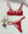 Yılbaşı Hediyesi Kadın Kırmızı Minik Kalpli Tül Tanga Sütyen İç Giyim