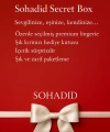 Secret Box – Kadın Lingerie Hediye Kutusu (Sürpriz İçerik)