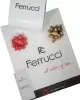 BİLEKTE.F.03 Ferrucci Kadın Kol Saati+Bileklik Özel Seri Çelik Kordon Kararma Renk Atma Yapmaz