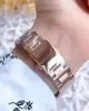 Ferro Rose Gold Renk İç Fonksiyonları Aktif 3 Atm Çelik Kordon Kadın Kol Saati BFL21259AWT-C