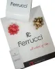 BLKT.2.965 Ferrucci Kadın Kol Saat 30 Mt Suya Dayanıklı Çelik Kordon Kararmaz Renk Atmaz+Bileklik