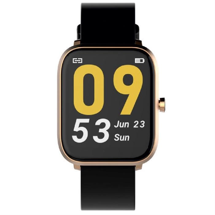 Ferrucci Akıllı Kol Saati FC SMART 019GC.03 640043