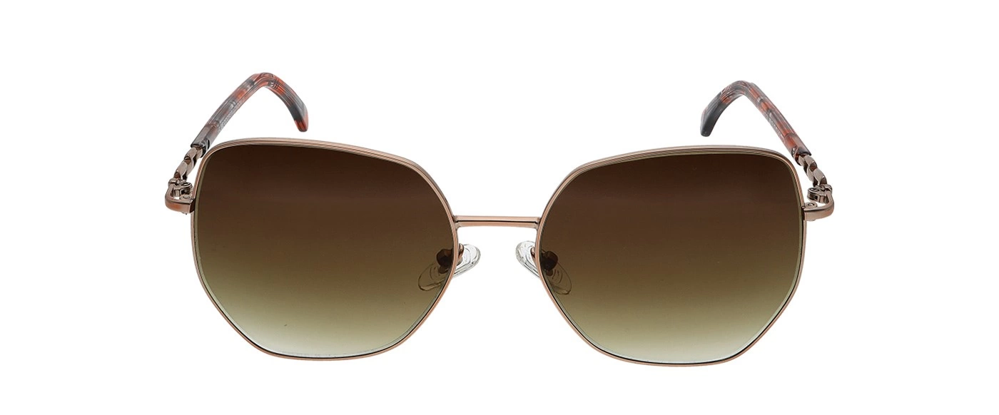 Lee Cooper Güneş Gözlüğü LC1437.C3