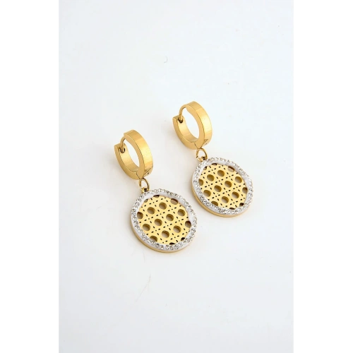 Çelik Gold Renkli Zirkon Taşlı Kancalı Küpe