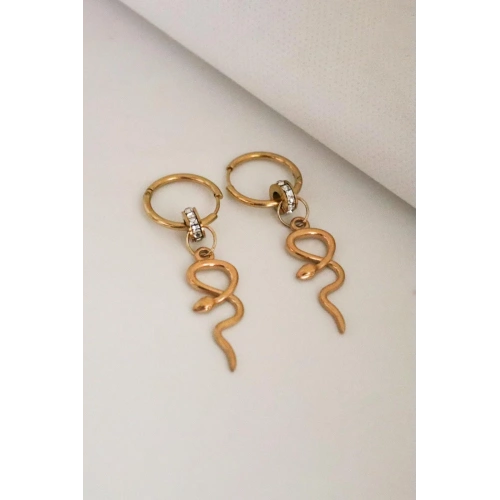 Yılan Tasarımlı Zirkon Taşlı Gold ve Gümüş Kaplamalı Çelik Sallantılı Küpe