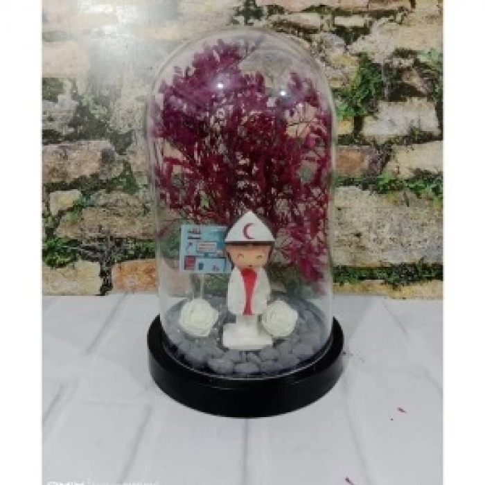 Fanus Teraryum Hemşireye İş Hediyesi Yeni İşinde Başarılar