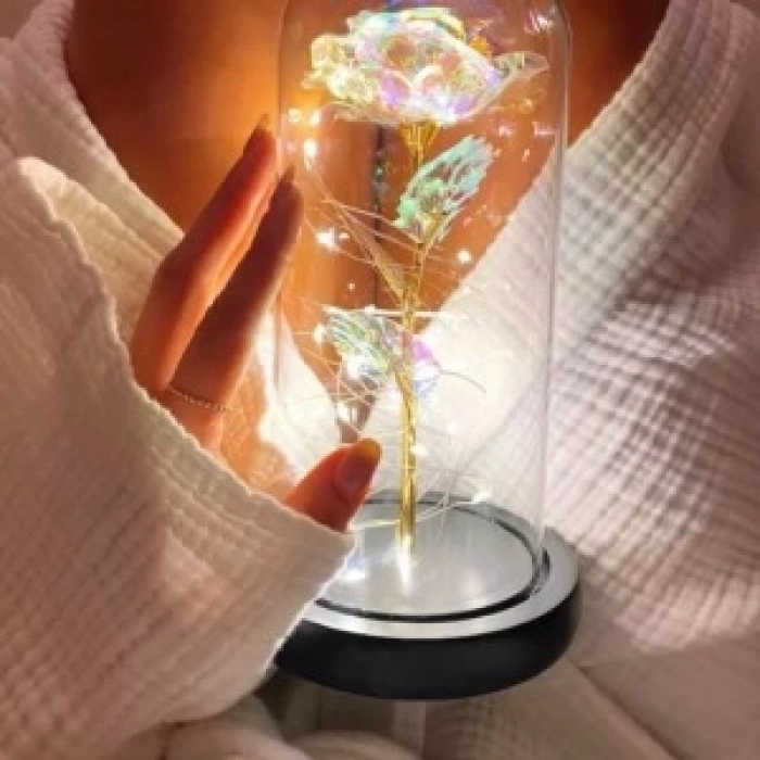 Fanus Teraryum Sonsuzluk Gül Işıklı