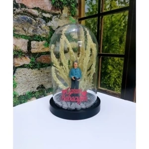 Fanus Teraryum Babaya Hediye Canım Babacım Yazılı Kitap Okuyan Baba Teraryum