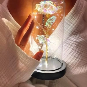 Fanus Teraryum Sonsuzluk Gül Işıklı