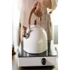 3 Litre Düdüklü Çaydanlık İskandinav Ahşap Su Isıtıcı Islık Çalan Çaydanlık Kettle Demlik Çay Potu