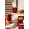 6lı Termisil Kupa Borosilikat Cam Bardak Takımı Isıya Dayanıklı Kulplu Çay Bardağı Seti 200 Ml.