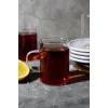 6lı Termisil Kupa Borosilikat Cam Bardak Takımı Isıya Dayanıklı Kulplu Çay Bardağı Seti 200 Ml.