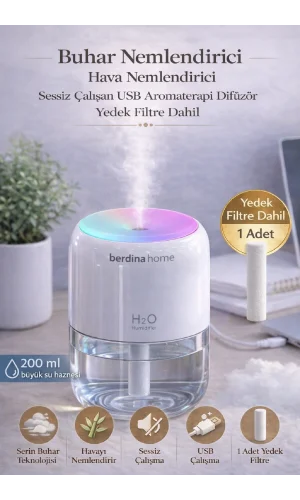 Şeffaf 200 ml Buhar Nemlendirici USB Hava Nemlendirici Sessiz Çalışma Yedek Filtre Dahil Difüzör